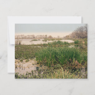 Brazos State Park Postcard