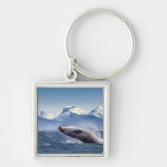 Breaching Humpback Whale In Alaska Key Ring (Front)