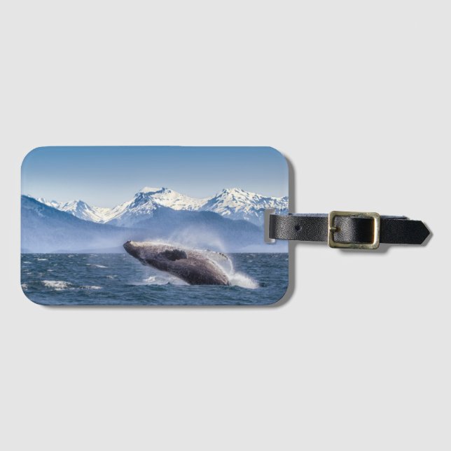 Breaching Humpback Whale In Alaska Luggage Tag (Front Horizontal)