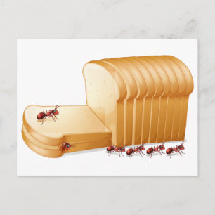 Bread and ants postcard