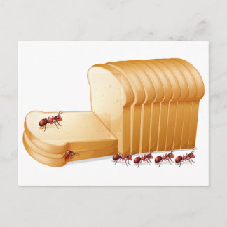 Bread and ants postcard