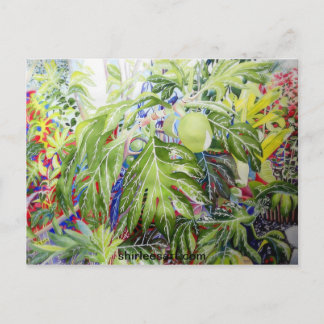 Breadfruit Postcard