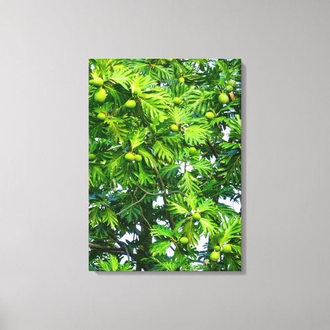 Breadfruit Tree Canvas Print (Front)