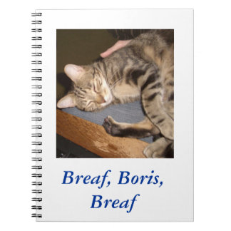Breaf, Boris, Breaf notebook