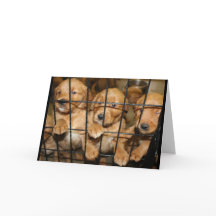 Break Out Of There!  Graduation Humor