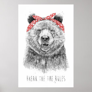 Break the rules poster