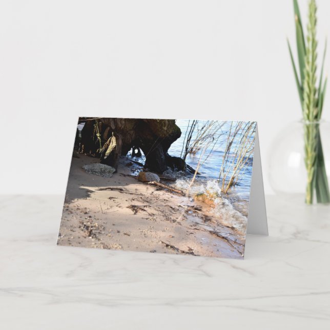 Breakers , Beachlife Card (Front)