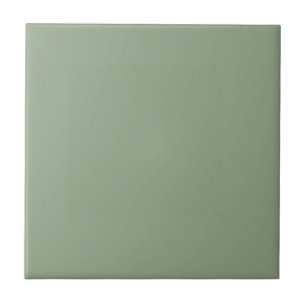 Breakfast Room Green Solid Colour Tile