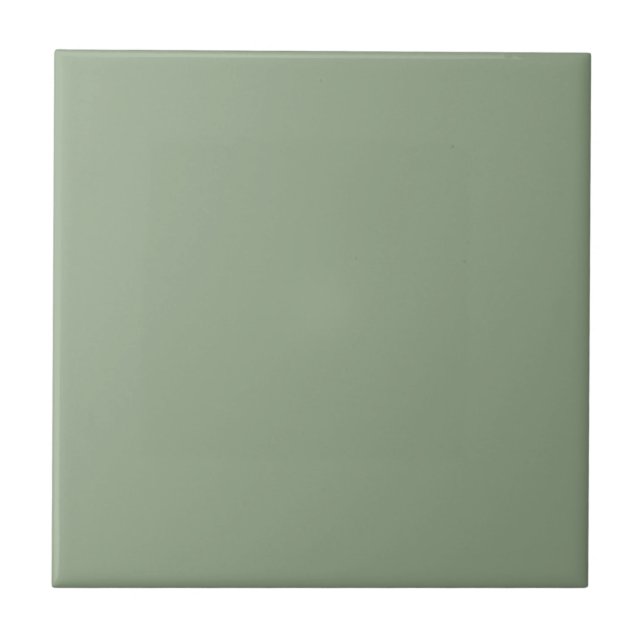 Breakfast Room Green Solid Colour Tile (Front)