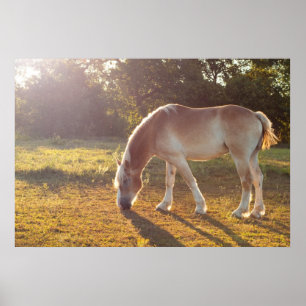 Breakfast Time Poster