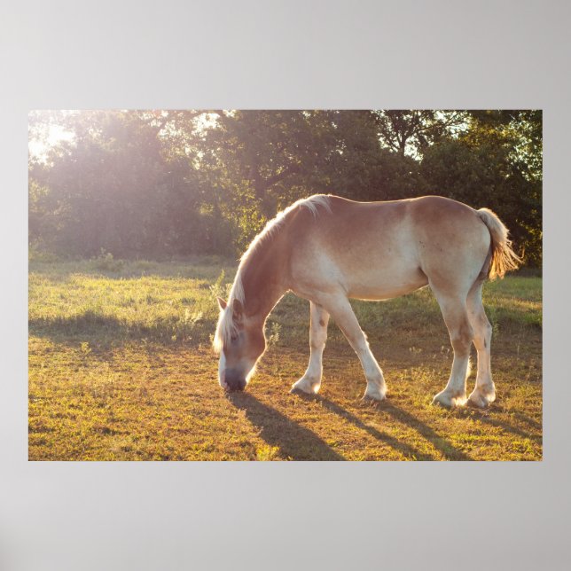 Breakfast Time Poster (Front)