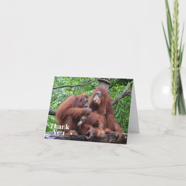 Breakfast with the Orangutans Funny Thank You Card (Front)