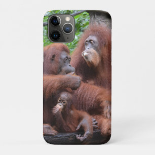 Breakfast with the Orangutans Singapore Zoo iPhone 11 Pro Case