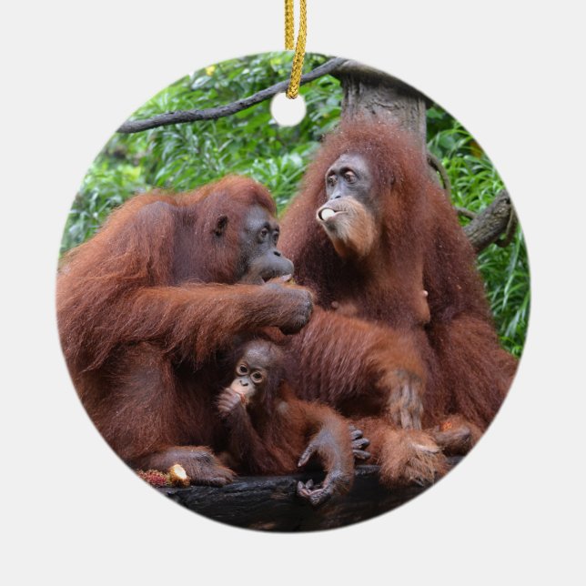 Breakfast with the Orangutans Singapore Zoo Ceramic Tree Decoration (Front)