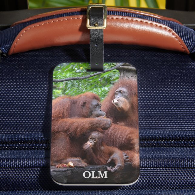 Breakfast with the Orangutans Singapore Zoo Luggage Tag (Front Insitu 2)