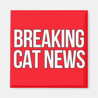 Breaking Cat News magnet