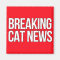 Breaking Cat News magnet