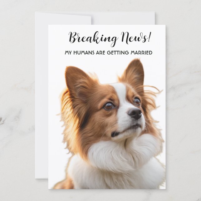 Breaking News My Humans Are Getting Married Invitation (Front)