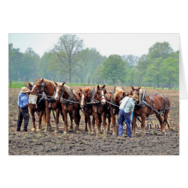 Breaktime (Front Horizontal)