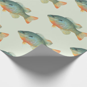 Bream Bluegill Sunfish Perch Fish Gift Wrapping Paper