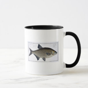 Bream (Cyprinus Brama) plate XIII from 'Ichthyolog Mug