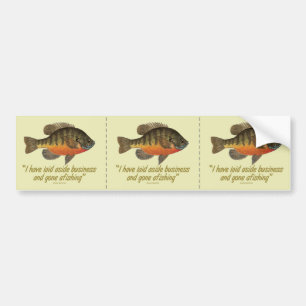Bream Fishing Bumper Sticker