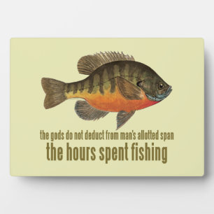 Bream Fishing Plaque