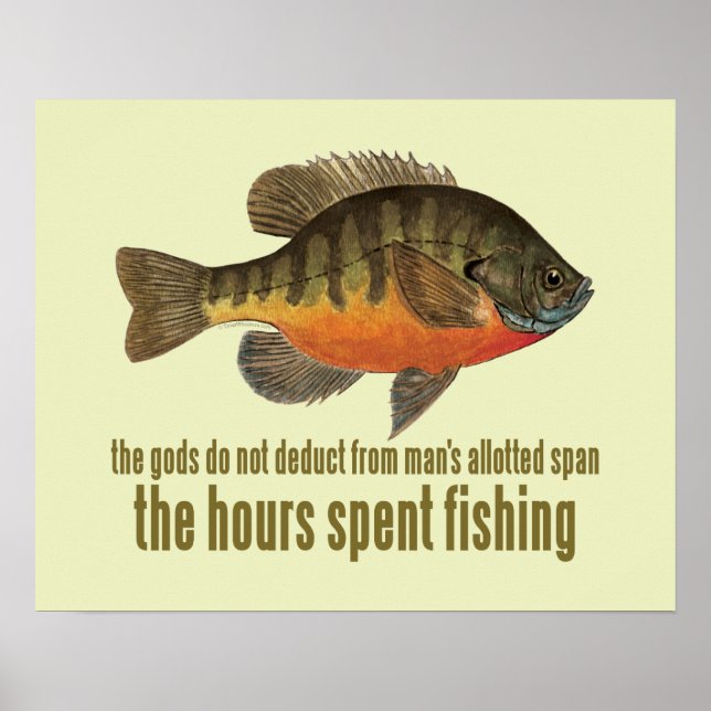 Bream Fishing Poster (Front)