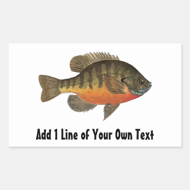 Bream Fishing Rectangular Sticker (Front)