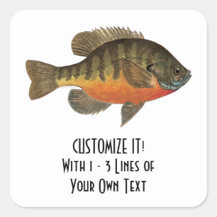 Bream Fishing Square Sticker