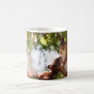 Breastfeeding Squirrel Coffee Mug