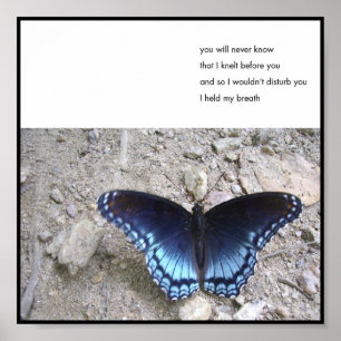 Breath - Poster from the 6x6 series