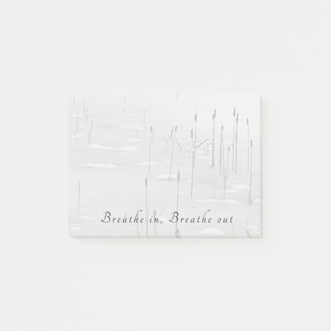 Breathe in, Breathe out calm winter pond scene  Post-it Notes (Front)