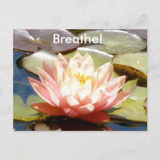 Breathe! Lotus Postcard