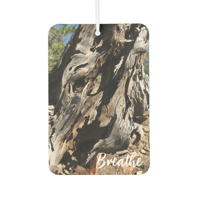 Breathe Unique Trees Woodland Nature Lover Car Air Freshener (Front)