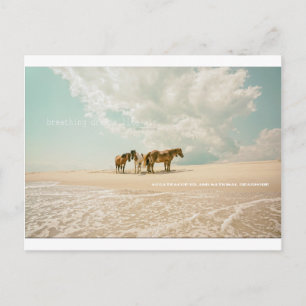 Breathing Dreams Like Air postcard