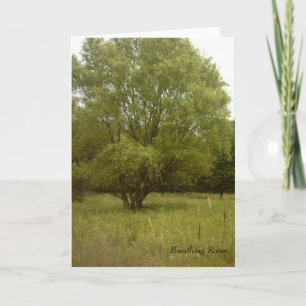 Breathing Room Card