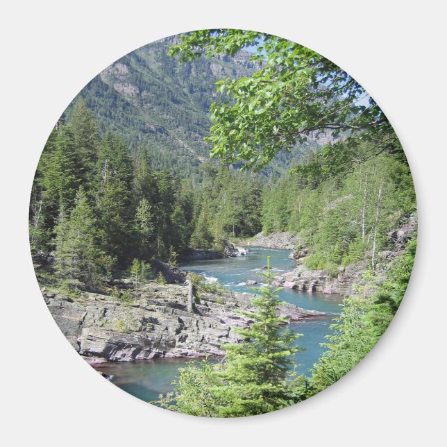 Breathtaking National Forest Magnet (Front)