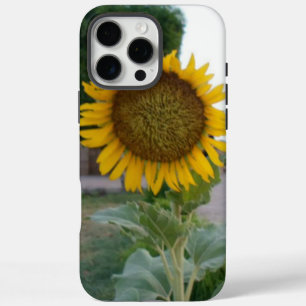 Breathtaking Natural Sunflower Golden Radiance A iPhone 16 Pro Max Case