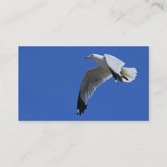 Breathtaking Ring-Billed Gull in Flight Business Card (Front)