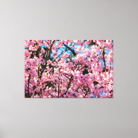 Breathtaking Sakura Tree In Pink Bloom Of Spring