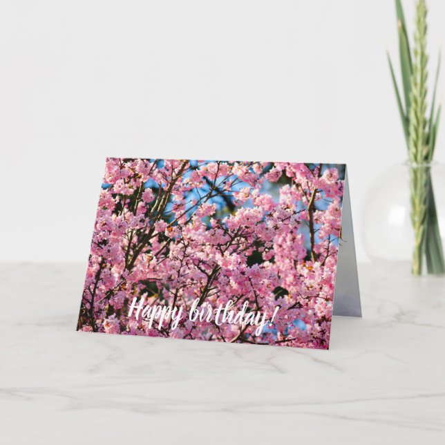 Breathtaking Sakura Tree In Pink Bloom Of Spring Card (Front)