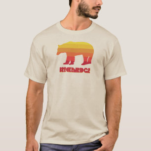 Breckenridge Colorado Rainbow Bear T-Shirt