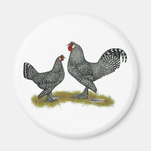 Breda Chickens Cuckoo Magnet