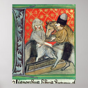 Breeding pigs and horses poster