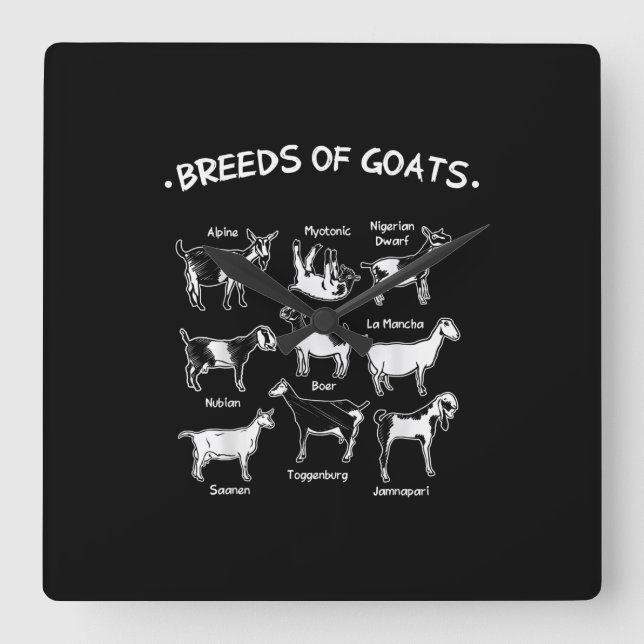 Breeds Of Goats Farmer Goat Gift Square Wall Clock (Front)