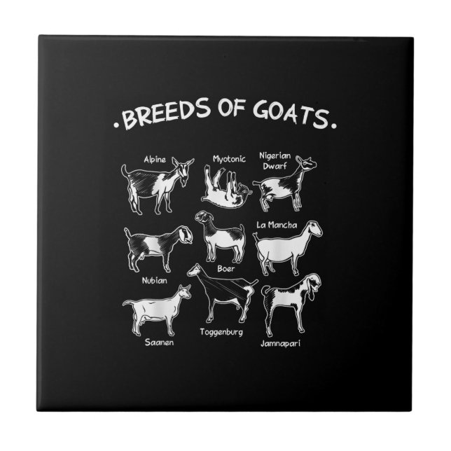 Breeds Of Goats Farmer Goat Gift Tile (Front)