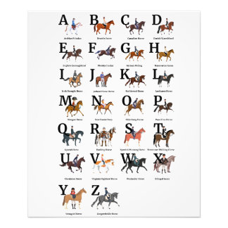 Breeds Of Horse Alphabetically Photo Print