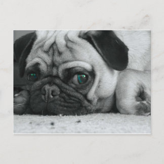 breena pic postcard
