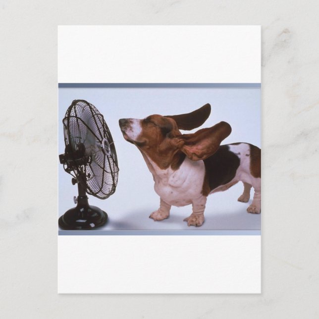 Breeze -Dog and Fan Postcard (Front)